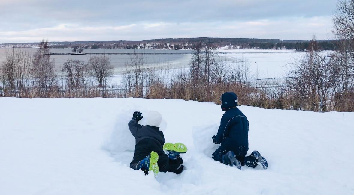 Snö & pulka
