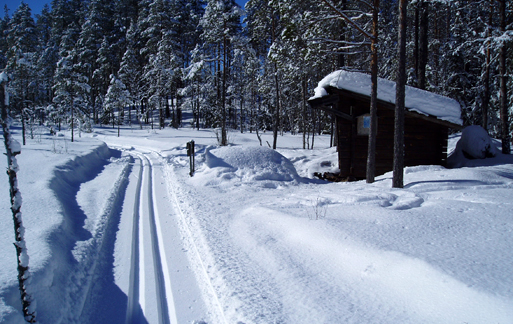 Vinterpromenader